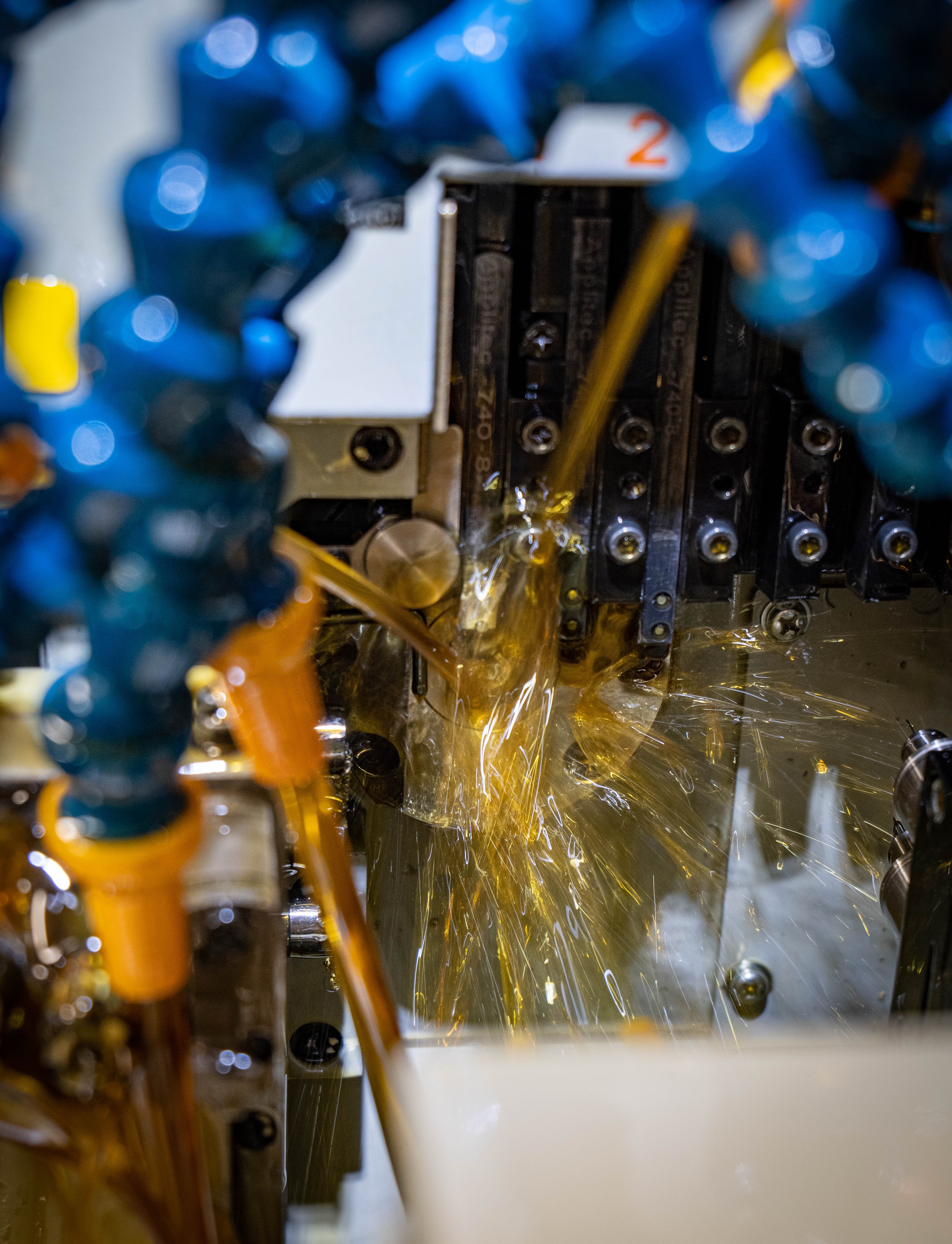 den otevřených dveří.jpg